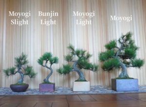 キックスタータープロジェクトの工芸盆栽A-BONSAI作品一覧