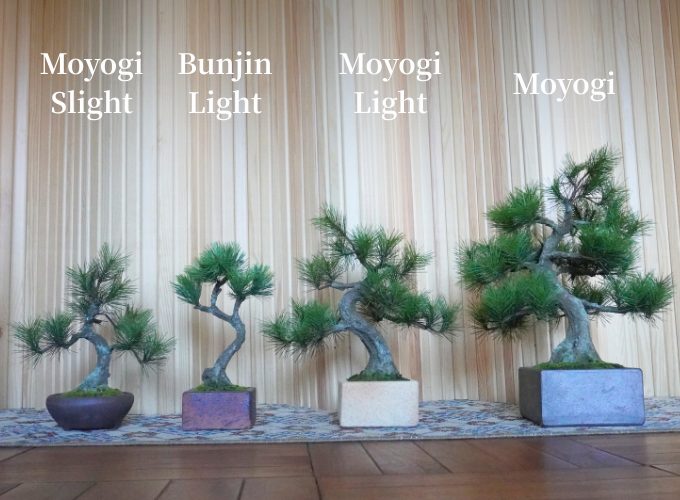 キックスタータープロジェクトの工芸盆栽A-BONSAI作品一覧